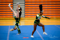 2024 DVC Varsity Cheer Championship Waubonsie Valley-20