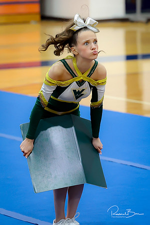 2024 DVC Varsity Cheer Championship Waubonsie Valley-37