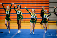 2024 DVC Varsity Cheer Championship Waubonsie Valley-6