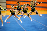 2024 DVC JV Cheer Championship Waubonsie Valley-19