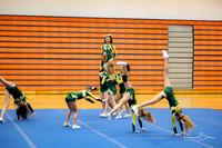 2024 DVC JV Cheer Championship Waubonsie Valley-6
