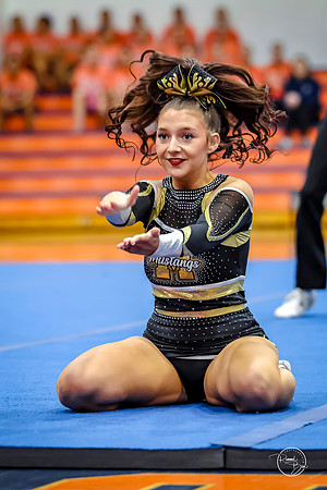 20260115 Varsity Metea Cheer DVC-79