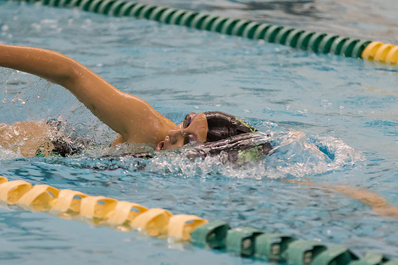 WVHS Girls Swimming - Senior Night-41