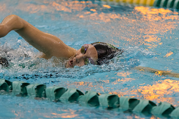 WVHS Girls Swimming - Senior Night-40
