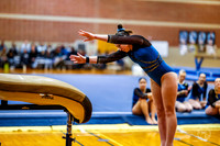 20260123 Senior Night Valley Gymnastics-12