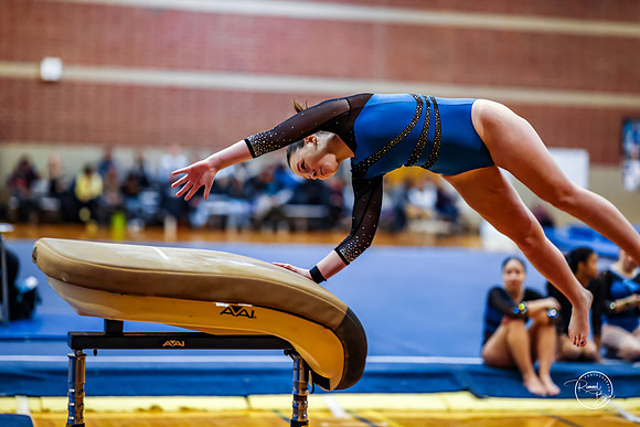 20260123 Senior Night Valley Gymnastics-14
