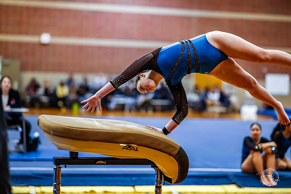 20260123 Senior Night Valley Gymnastics-15