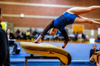 20260123 Senior Night Valley Gymnastics-16
