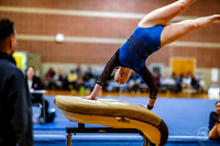 20260123 Senior Night Valley Gymnastics-17