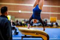 20260123 Senior Night Valley Gymnastics-19
