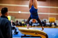 20260123 Senior Night Valley Gymnastics-20