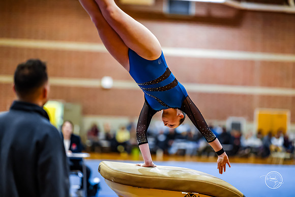 20260123 Senior Night Valley Gymnastics-22