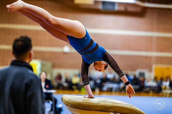 20260123 Senior Night Valley Gymnastics-23