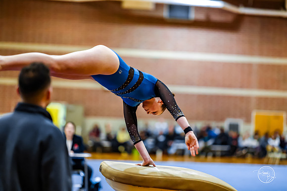 20260123 Senior Night Valley Gymnastics-24