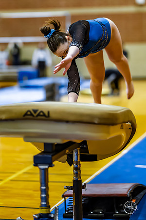 20260123 Senior Night Valley Gymnastics-30