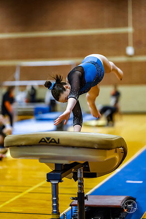 20260123 Senior Night Valley Gymnastics-31