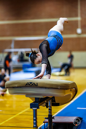 20260123 Senior Night Valley Gymnastics-32