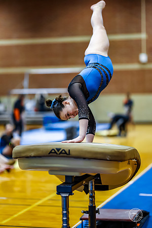 20260123 Senior Night Valley Gymnastics-33