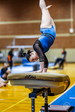 20260123 Senior Night Valley Gymnastics-34