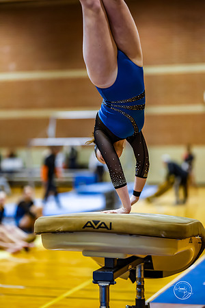 20260123 Senior Night Valley Gymnastics-35