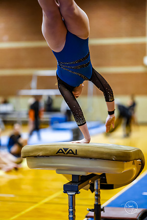 20260123 Senior Night Valley Gymnastics-36