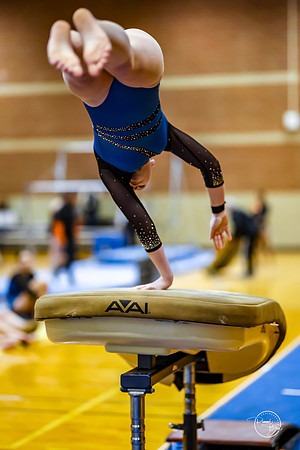 20260123 Senior Night Valley Gymnastics-37