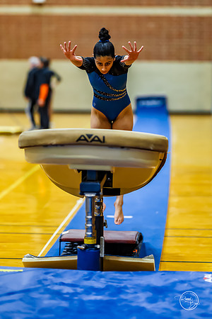 20260123 Senior Night Valley Gymnastics-40