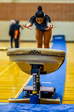 20260123 Senior Night Valley Gymnastics-41