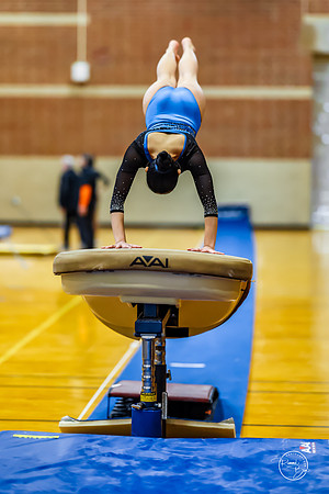 20260123 Senior Night Valley Gymnastics-43