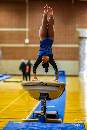 20260123 Senior Night Valley Gymnastics-46