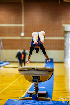 20260123 Senior Night Valley Gymnastics-47