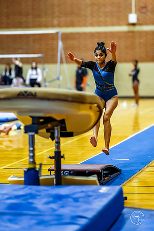20260123 Senior Night Valley Gymnastics-52