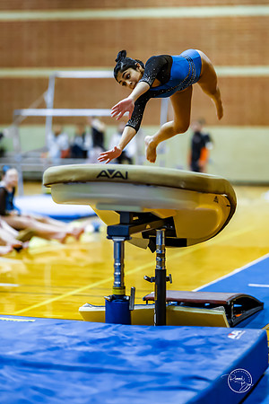 20260123 Senior Night Valley Gymnastics-56