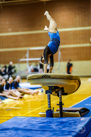 20260123 Senior Night Valley Gymnastics-58