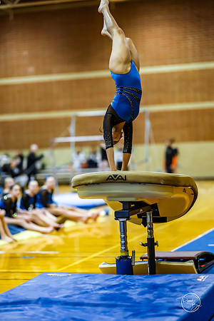20260123 Senior Night Valley Gymnastics-59