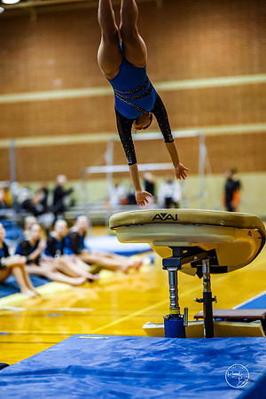 20260123 Senior Night Valley Gymnastics-60