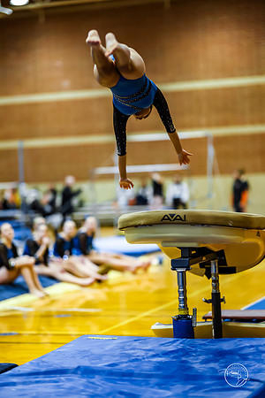 20260123 Senior Night Valley Gymnastics-61