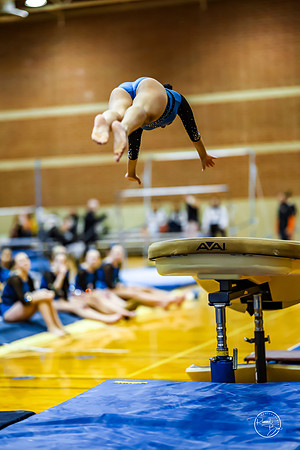 20260123 Senior Night Valley Gymnastics-62