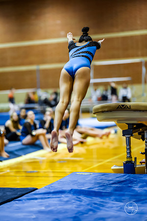 20260123 Senior Night Valley Gymnastics-63