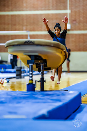 20260123 Senior Night Valley Gymnastics-66