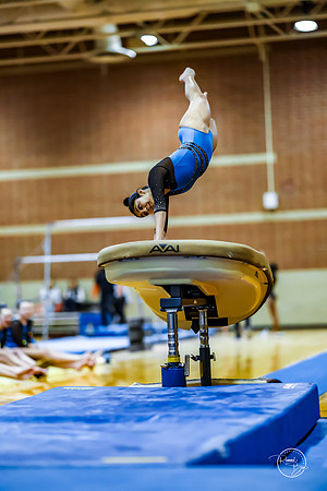 20260123 Senior Night Valley Gymnastics-68