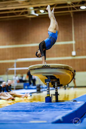 20260123 Senior Night Valley Gymnastics-69