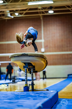 20260123 Senior Night Valley Gymnastics-74