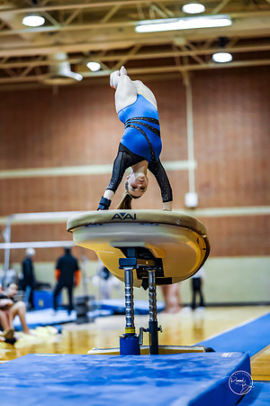 20260123 Senior Night Valley Gymnastics-76
