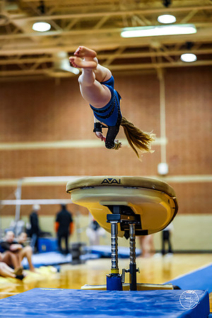 20260123 Senior Night Valley Gymnastics-80