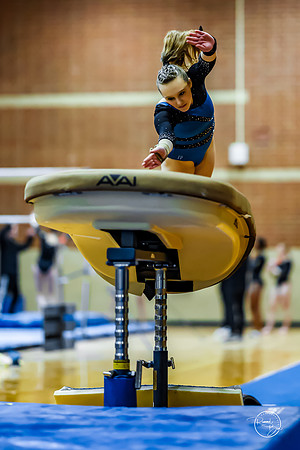 20260123 Senior Night Valley Gymnastics-87