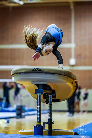 20260123 Senior Night Valley Gymnastics-88