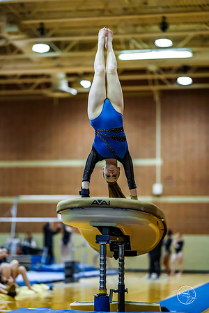 20260123 Senior Night Valley Gymnastics-90