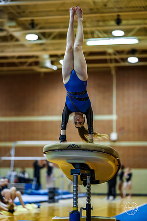 20260123 Senior Night Valley Gymnastics-91