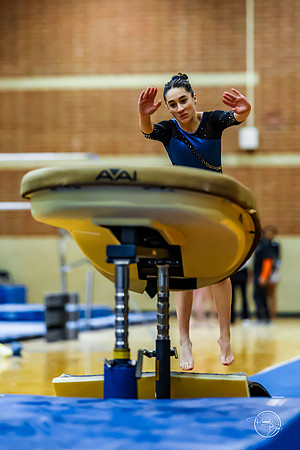 20260123 Senior Night Valley Gymnastics-96
